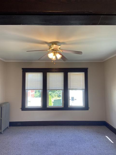 5 Autumn St, Worcester, MA 01603 photo 24