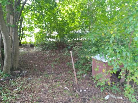 11 Larch St, Worcester, MA 01609 photo 8