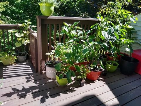 68 E Main St #11, Ayer, MA 01432 photo 28