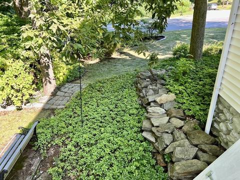 46 Prouty Ln, Worcester, MA 01602 photo 23