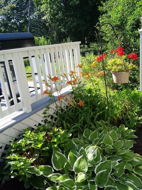 434 Pine St, Barnstable, MA 02632 photo 34