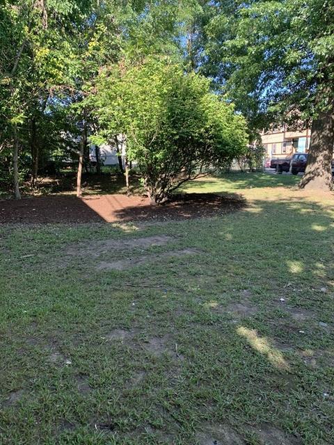 20 Clifton Ave, Springfield, MA 01109 photo 9