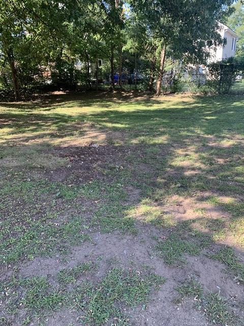 20 Clifton Ave, Springfield, MA 01109 photo 8