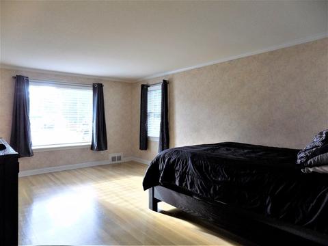 13 Delano Dr, Springfield, MA 01129 photo 28