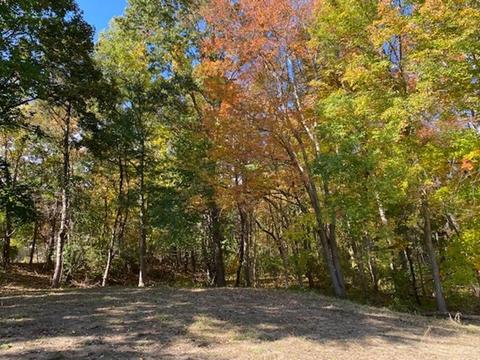 146 E Main St, Norton, MA 02766 photo 30