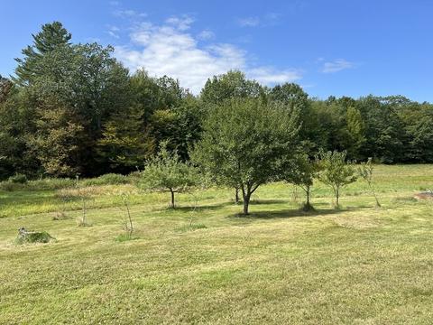32 Shippee Rd, Rowe, MA 01367 photo 35