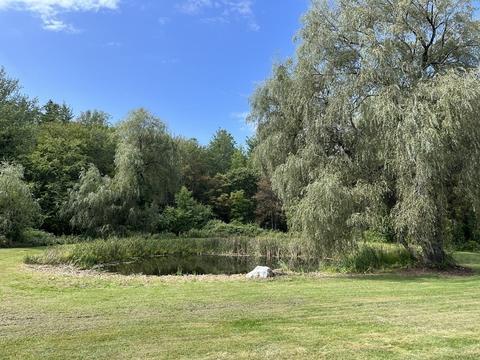 32 Shippee Rd, Rowe, MA 01367 photo 28