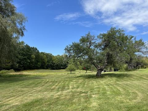 32 Shippee Rd, Rowe, MA 01367 photo 37