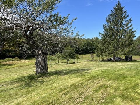 32 Shippee Rd, Rowe, MA 01367 photo 36