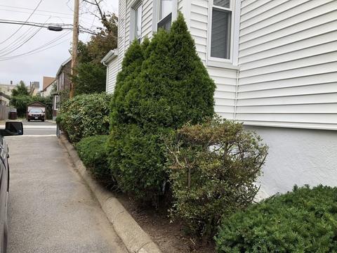 81 Florence St, Everett, MA 02149 photo 6