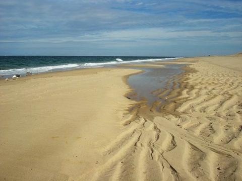 15 Chipmunk Ln, Eastham, MA 02642 photo 30