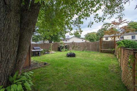 231 Louis Rd, Springfield, MA 01118 photo 36