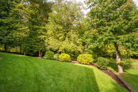 27 Perry Dr, Needham, MA 02492 photo 19