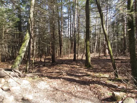lot25 Lynes Rd, Chester, MA 01011