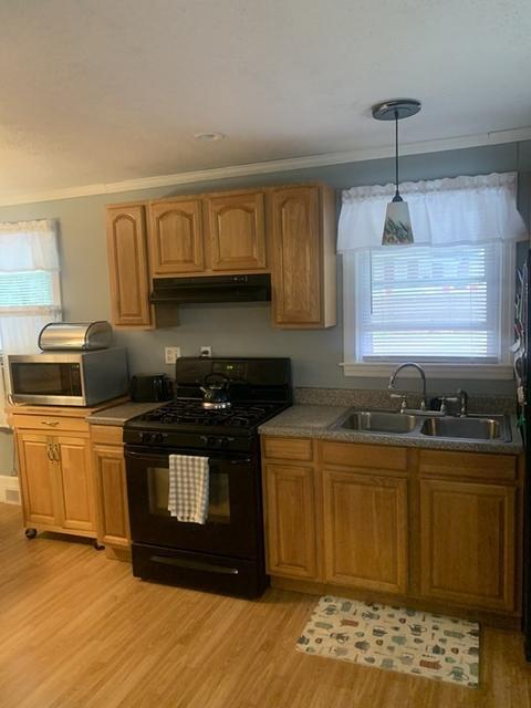 251 Cortland St, Springfield, MA 01109 photo 3
