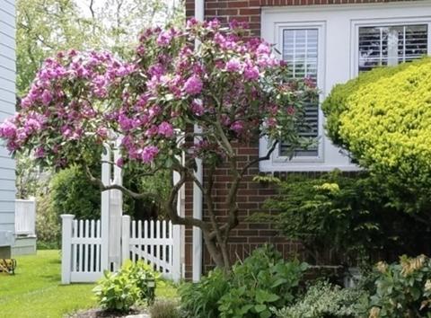19 Auburndale Rd, Marblehead, MA 01945 photo 2
