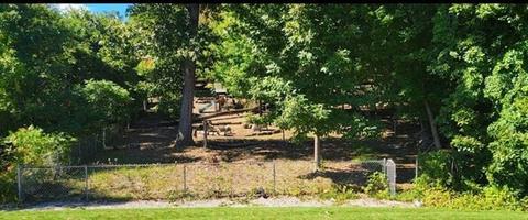 35 Wendover Rd, Springfield, MA 01118 photo 38