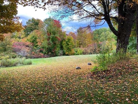 385 Walnut Hill Rd, Orange, MA 01364 photo 12