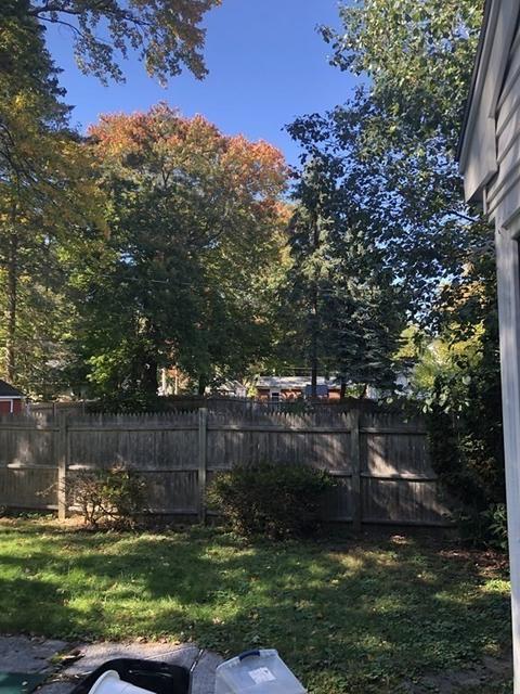 85 Vassar St, Worcester, MA 01602 photo 18