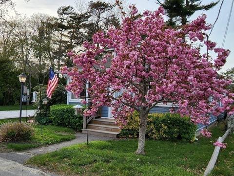11 Beechwood Pl, Wareham, MA 02532 photo 15