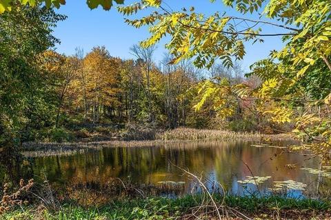 99 Ayer Rd, Harvard, MA 01451 photo 28