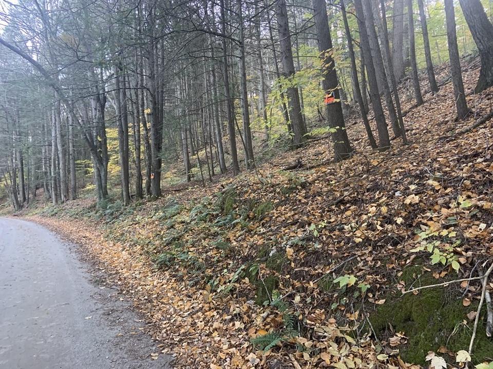 0 N Green River Rd, Colrain, MA 01340 13 Photos MLS 73051265 Movoto