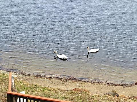 19 Horseshoe Cir, Ware, MA 01082 photo 33