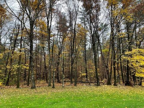 427 Belchertown Rd, Ware, MA 01082 photo 6