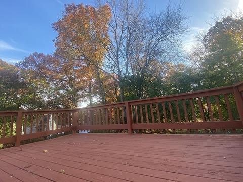5 Royal Rd, Worcester, MA 01603 photo 13