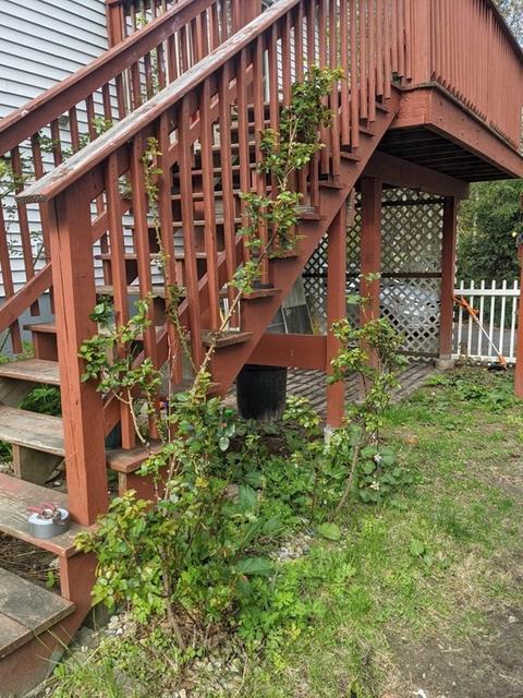 54 Central St, Athol, MA 01331 photo 38