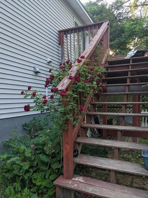 54 Central St, Athol, MA 01331 photo 39