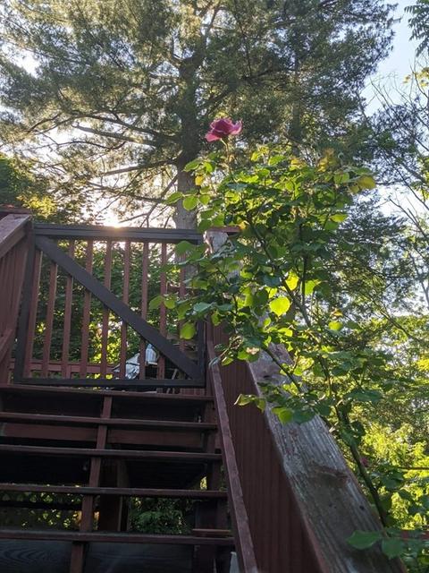 54 Central St, Athol, MA 01331 photo 36