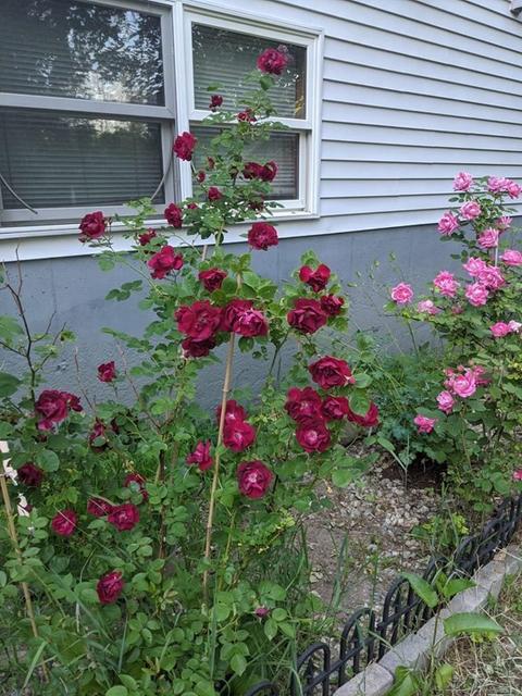 54 Central St, Athol, MA 01331 photo 37