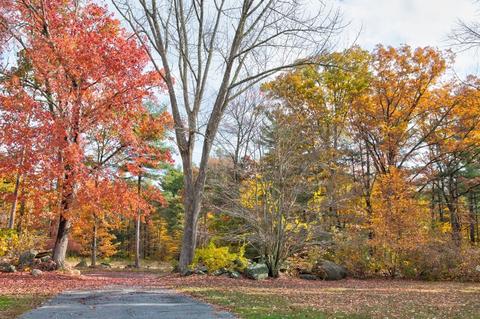 212 Greenwich Plains Rd, Ware, MA 01082 photo 4