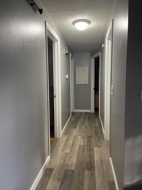44 Gardner Rd, Chicopee, MA 01013 photo 14