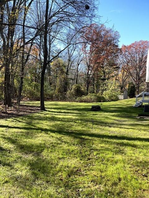 9 Whiting Ave, Walpole, MA 02081 photo 31