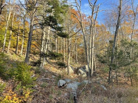 22 Forest Ln, Gloucester, MA 01930