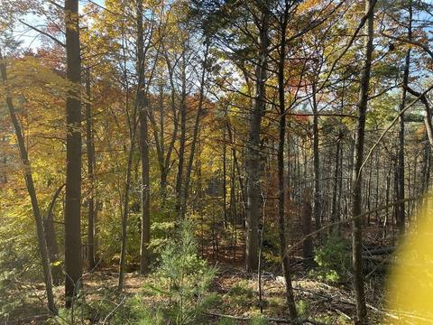 22 Forest Ln, Gloucester, MA 01930 photo 12