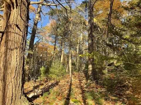22 Forest Ln, Gloucester, MA 01930 photo 2