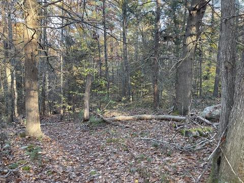 22 Forest Ln, Gloucester, MA 01930 photo 4