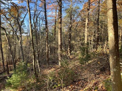 22 Forest Ln, Gloucester, MA 01930 photo 3