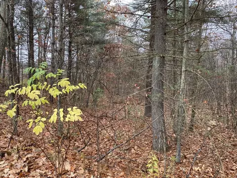 12 16 Smith Hanson, North Brookfield, MA 01535