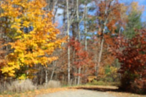 19 Ford Hill Rd, Rowe, MA 01367 photo 10