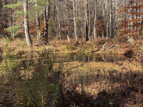 19 Ford Hill Rd, Rowe, MA 01367 photo 2
