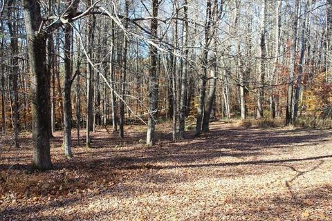 19 Ford Hill Rd, Rowe, MA 01367 photo 41
