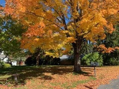 45 Mcgregory Rd, Sturbridge, MA 01566 photo 36