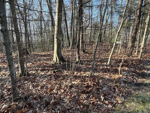 17 Asselin Ave, Webster, MA 01570 photo 36