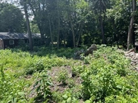 601 Salisbury St, Worcester, MA 01609 photo 3