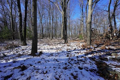 30 Walnut St, Plainville, MA 02762 photo 40