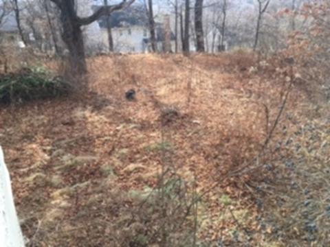 19 Willard Ave, Worcester, MA 01602 photo 25